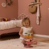 Kulodrom Pink Little Dutch 3