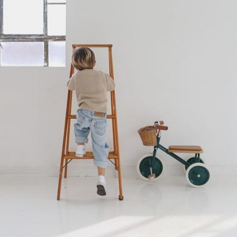 Banwood Rowerek trójkołowy Trike Dark Green 3