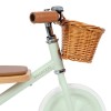 Banwood Rowerek trójkołowy Trike Pale Mint 2