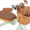 Banwood Rowerek trójkołowy Trike Pale Mint 5