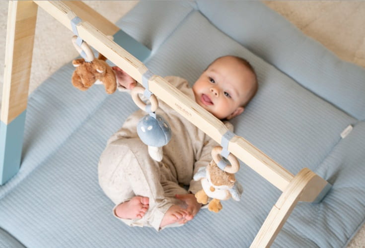 Baby gym stojak pałąk dla chłopca Forest Friends Little Dutch 3