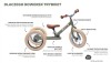 Rowerek trójkołowy biegowy 2w1 niebieski matowy Trybike 6