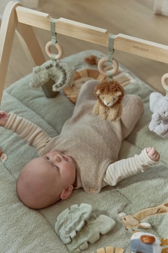 Baby gym stojak pałąk interaktywny Safari Little Dutch  3