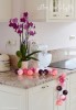 Cotton Balls - VIOLETS 2