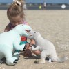 Pluszowy Dinozaur miętowy rozmiar L Melootka 3