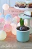 Cotton Balls -  BABY SET 1